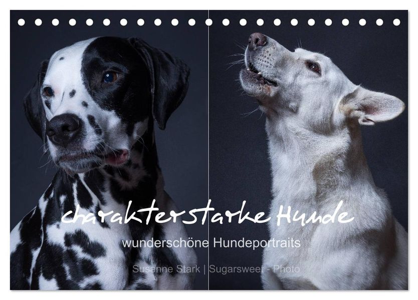 charakterstarke Hunde wunderschöne Hundeportraits (Tischkalender 2027 DIN A5 quer) CALVENDO Monatskalender