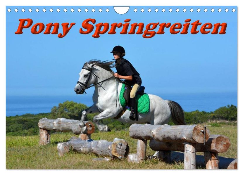 Pony Springreiten (Wandkalender 2027 DIN A4 quer) CALVENDO Monatskalender