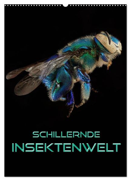 Schillernde Insektenwelt (Wandkalender 2027 DIN A2 hoch) CALVENDO Monatskalender