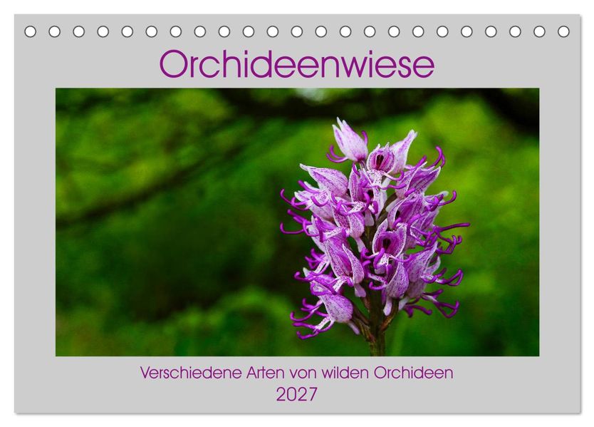 Orchideenwiese 2027 (Tischkalender 2027 DIN A5 quer) CALVENDO Monatskalender