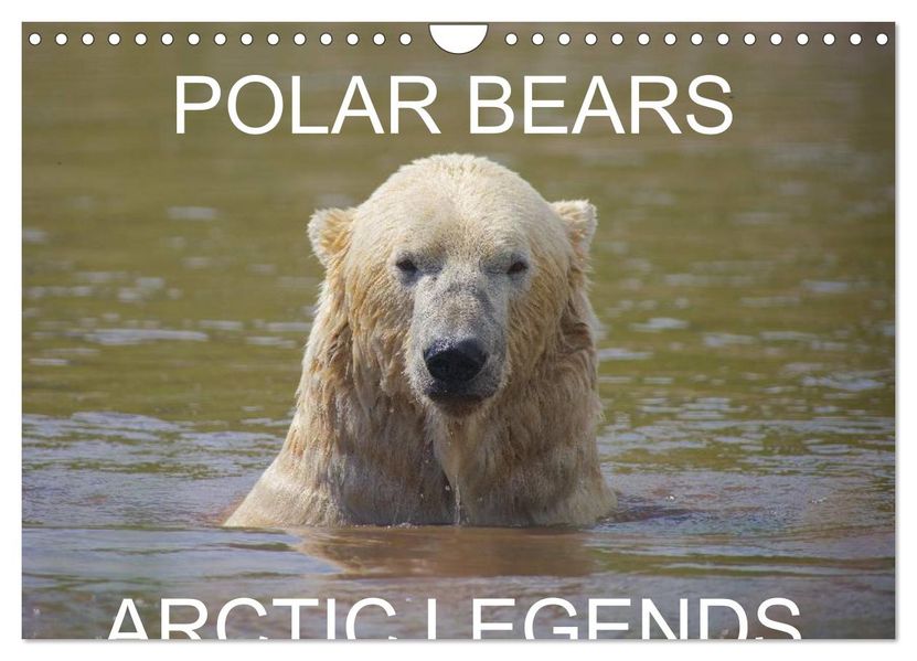 POLAR BEARS - ARCTIC LEGENDS (Wall Calendar 2027 DIN A4 landscape) CALVENDO 12 Month Wall Calendar