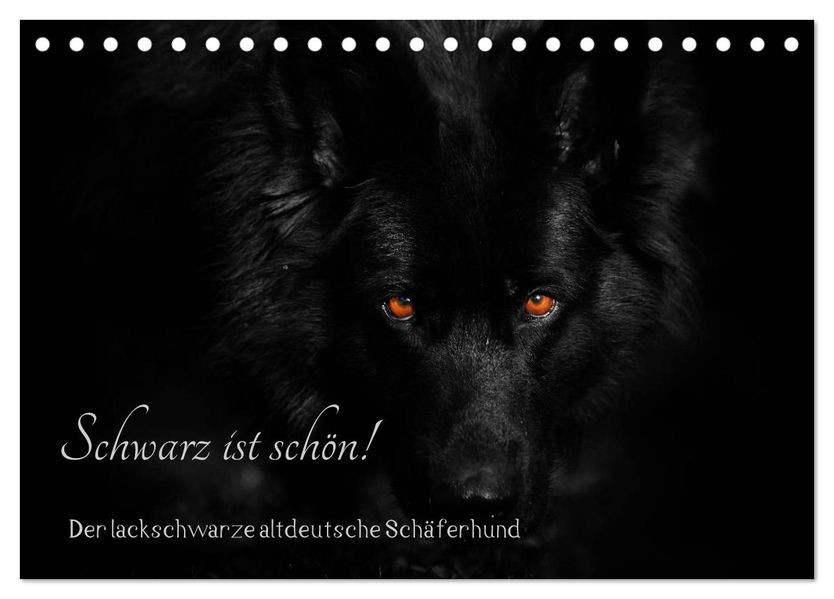 Schwarz ist schön! Der lackschwarze altdeutsche Schäferhund (Tischkalender 2027 DIN A5 quer) CALVENDO Monatskalender