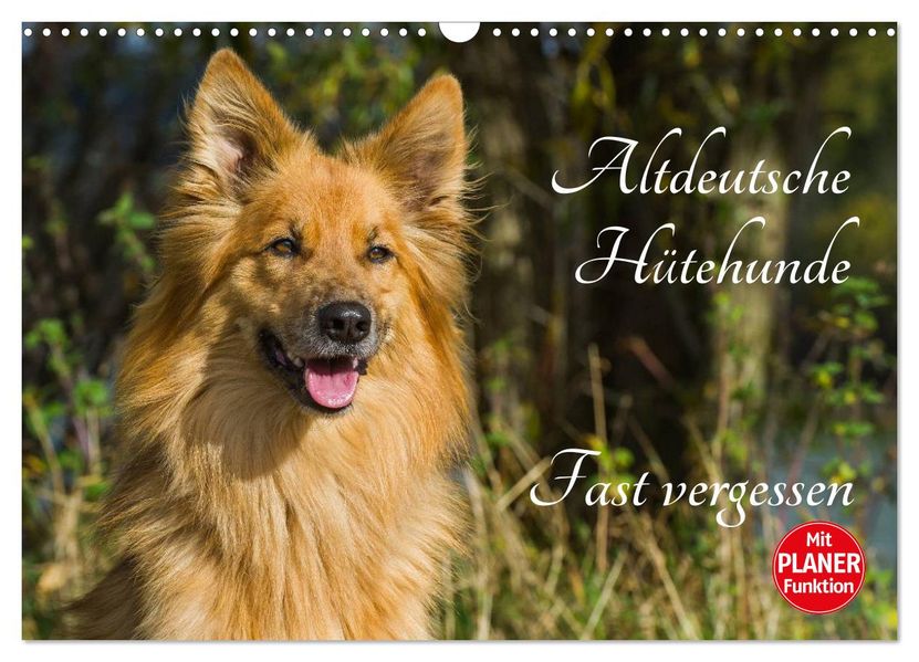 Altdeutsche Hütehunde - Fast vergessen (Wandkalender 2027 DIN A3 quer) CALVENDO Monatskalender