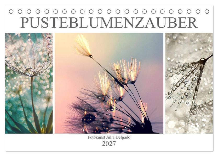 PusteblumenZauber (Tischkalender 2027 DIN A5 quer) CALVENDO Monatskalender