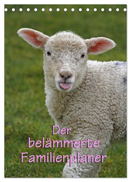 Der belämmerte Familienplaner (Tischkalender 2027 DIN A5 hoch) CALVENDO Monatskalender
