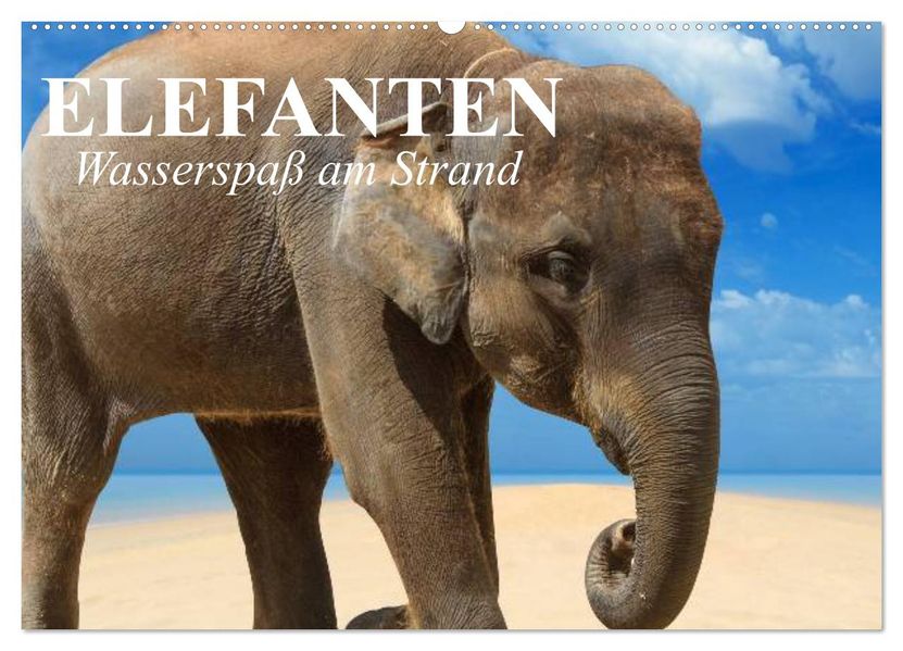 Elefanten - Wasserspaß am Strand (Wandkalender 2027 DIN A2 quer) CALVENDO Monatskalender