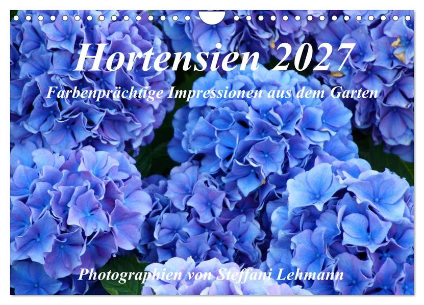 Hortensien 2027. Farbenprächtige Impressionen aus dem Garten (Wandkalender 2027 DIN A4 quer) CALVENDO Monatskalender