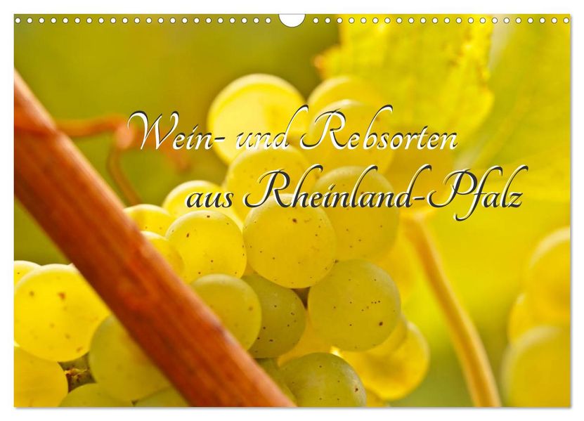 Wein- und Rebsorten aus Rheinland-Pfalz (Wandkalender 2027 DIN A3 quer) CALVENDO Monatskalender