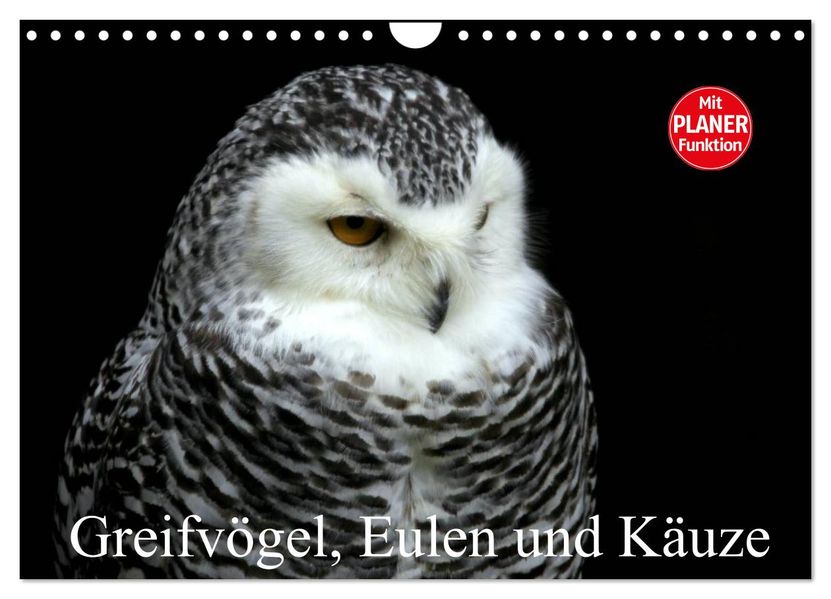 Greifvögel Eulen und Käuze (Wandkalender 2027 DIN A4 quer) CALVENDO Monatskalender