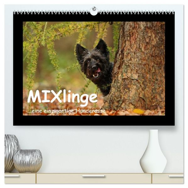 MIXlinge (hochwertiger Premium Wandkalender 2027 DIN A2 quer) Kunstdruck in Hochglanz