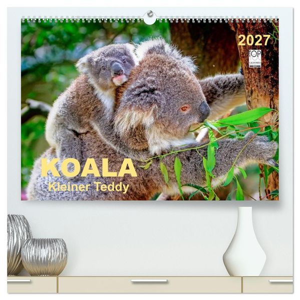 Koala - kleiner Teddy (hochwertiger Premium Wandkalender 2027 DIN A2 quer) Kunstdruck in Hochglanz