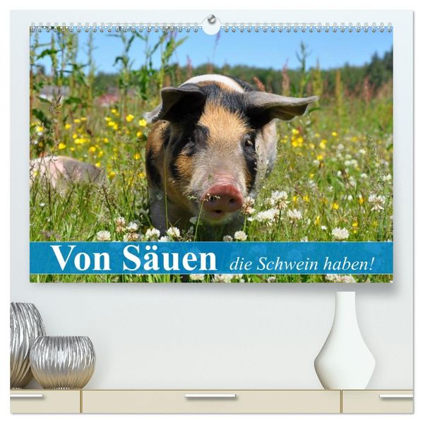 Von Säuen die Schwein haben! (hochwertiger Premium Wandkalender 2027 DIN A2 quer) Kunstdruck in Hochglanz