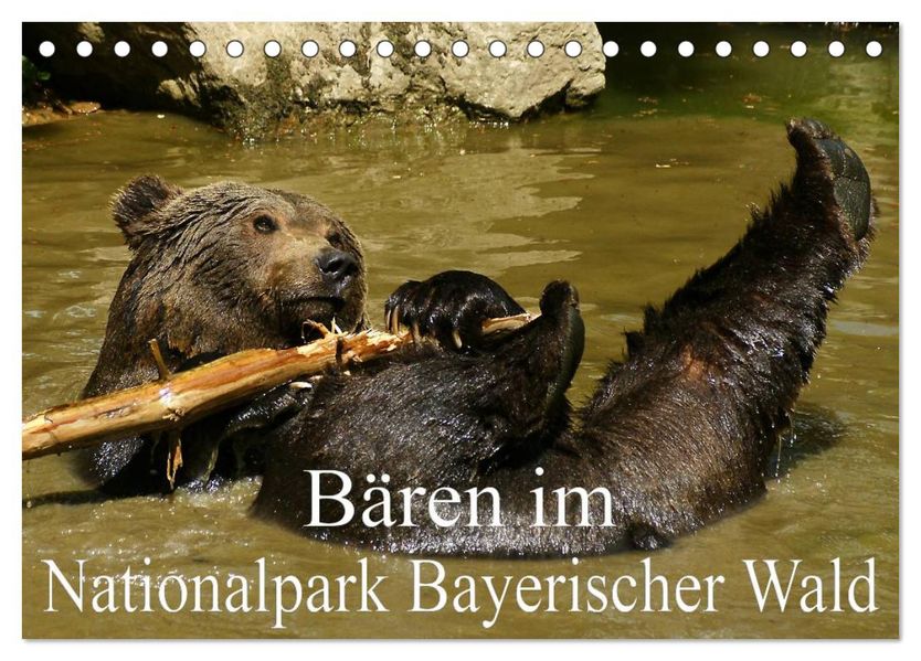 Bären im Nationalpark Bayerischer Wald (Tischkalender 2027 DIN A5 quer) CALVENDO Monatskalender