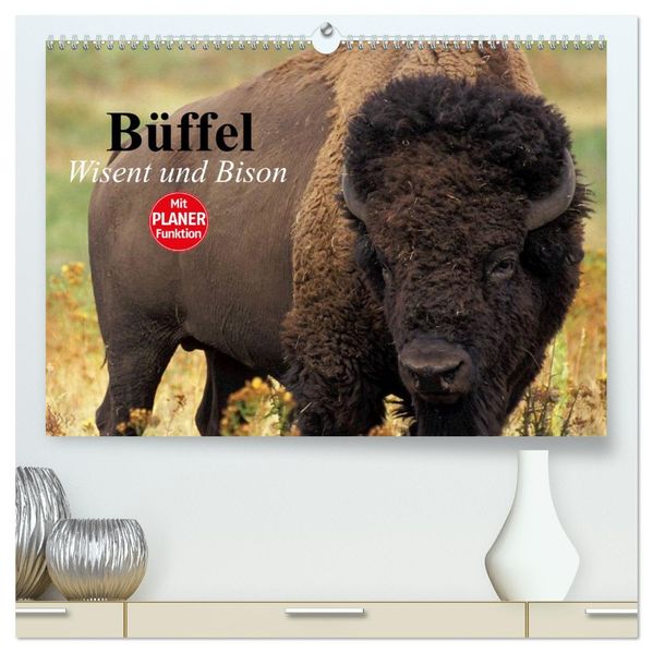 Büffel. Wisent und Bison (hochwertiger Premium Wandkalender 2027 DIN A2 quer) Kunstdruck in Hochglanz