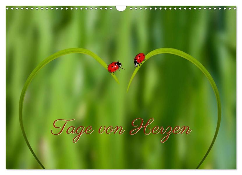 Tage von Herzen (Wandkalender 2027 DIN A3 quer) CALVENDO Monatskalender