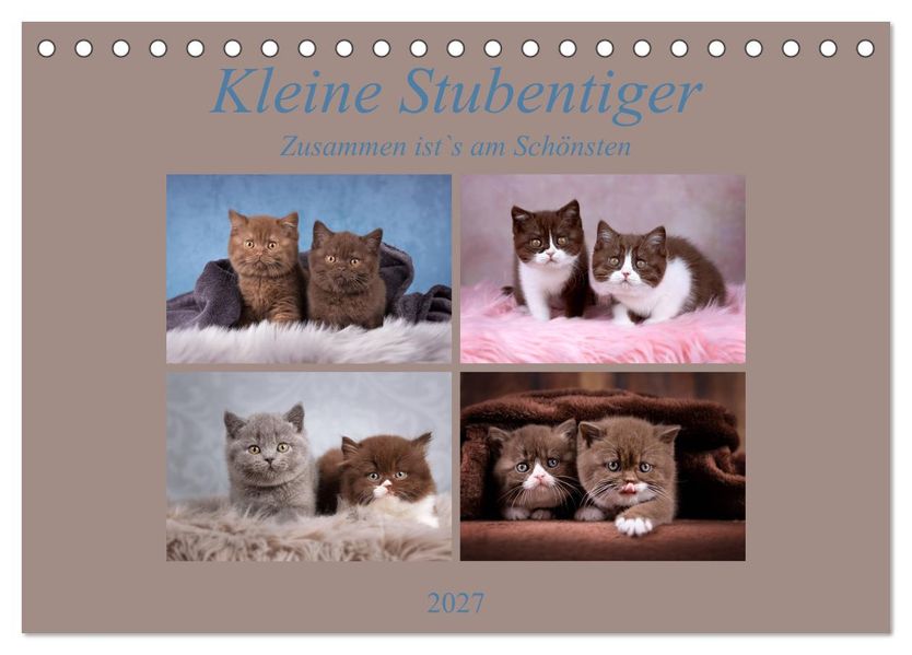 Kleine Stubenstiger (Tischkalender 2027 DIN A5 quer) CALVENDO Monatskalender