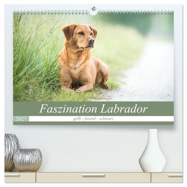 Faszination Labrador - gelb foxred schwarz (hochwertiger Premium Wandkalender 2027 DIN A2 quer) Kunstdruck in Hochglanz