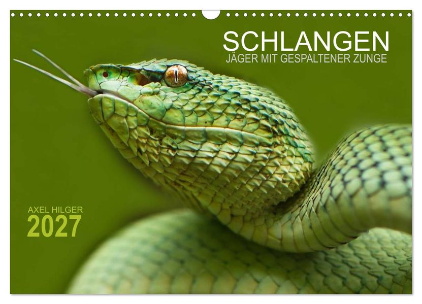 SCHLANGEN. JÄGER MIT GESPALTENER ZUNGE (Wandkalender 2027 DIN A3 quer) CALVENDO Monatskalender