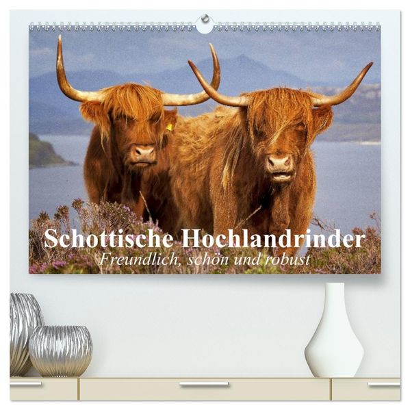 Schottische Hochlandrinder. Freundlich schön und robust (hochwertiger Premium Wandkalender 2027 DIN A2 quer) Kunstdruck in Hochglanz