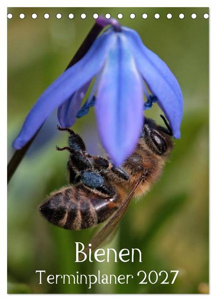 Bienen-Terminplaner 2027 (Tischkalender 2027 DIN A5 hoch) CALVENDO Monatskalender