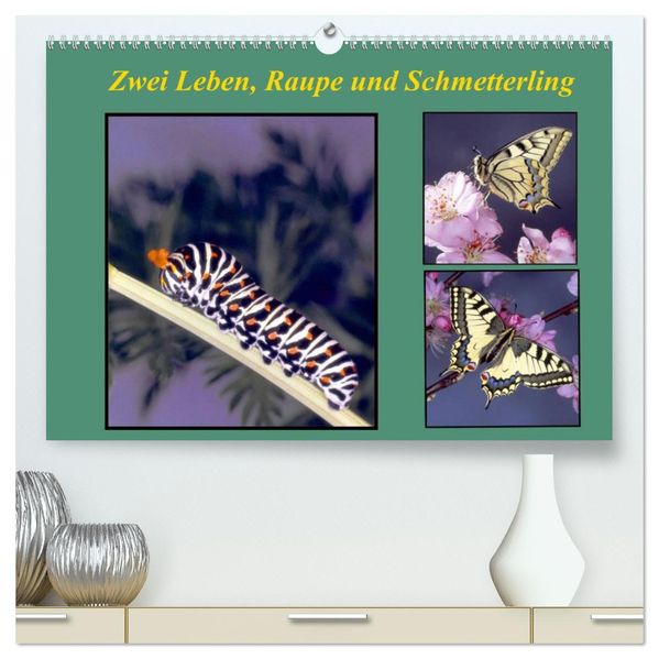 Zwei Leben Raupe und Schmetterling (hochwertiger Premium Wandkalender 2027 DIN A2 quer) Kunstdruck in Hochglanz