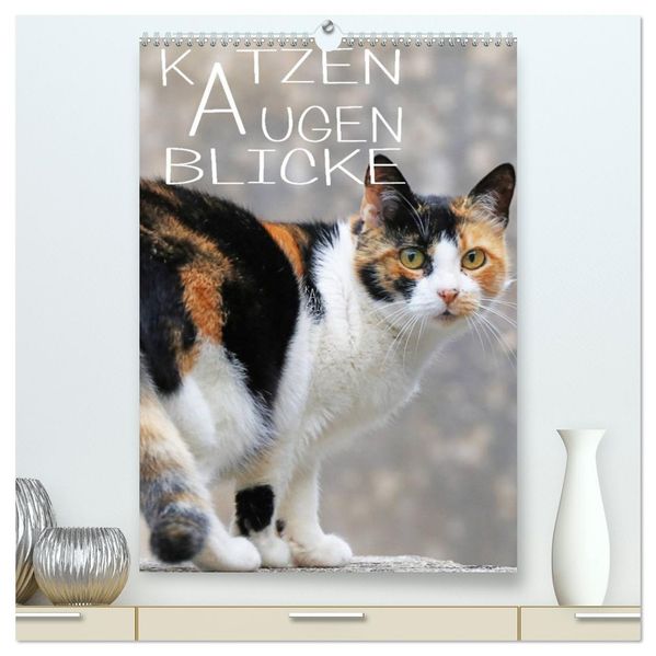 KATZEN AUGEN BLICKE (hochwertiger Premium Wandkalender 2027 DIN A2 hoch) Kunstdruck in Hochglanz