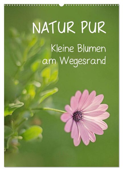 NATUR PUR Kleine Blumen am Wegesrand (Wandkalender 2027 DIN A2 hoch) CALVENDO Monatskalender