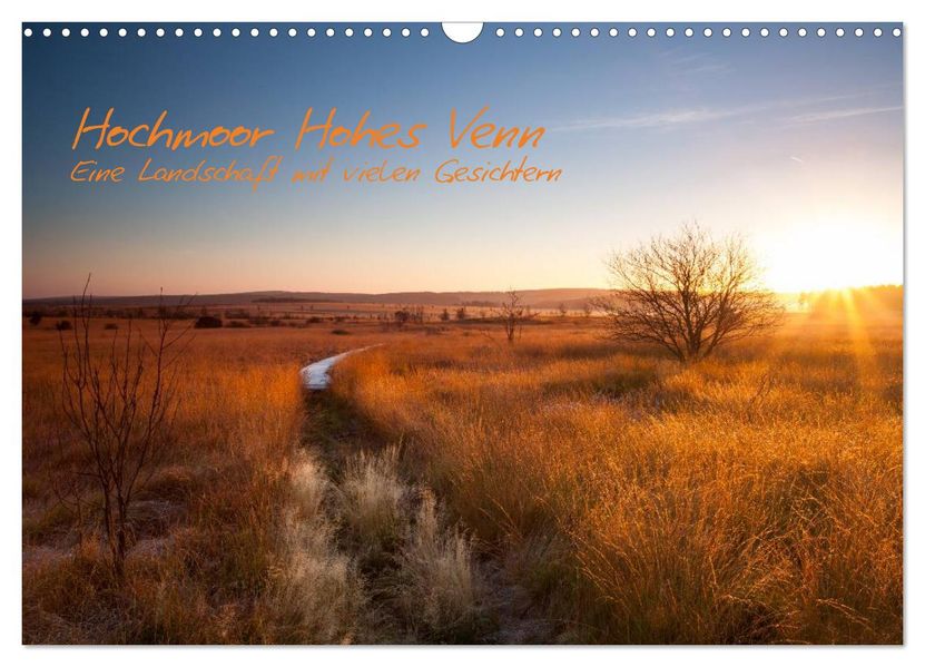 Hochmoor Hohes Venn (Wandkalender 2027 DIN A3 quer) CALVENDO Monatskalender