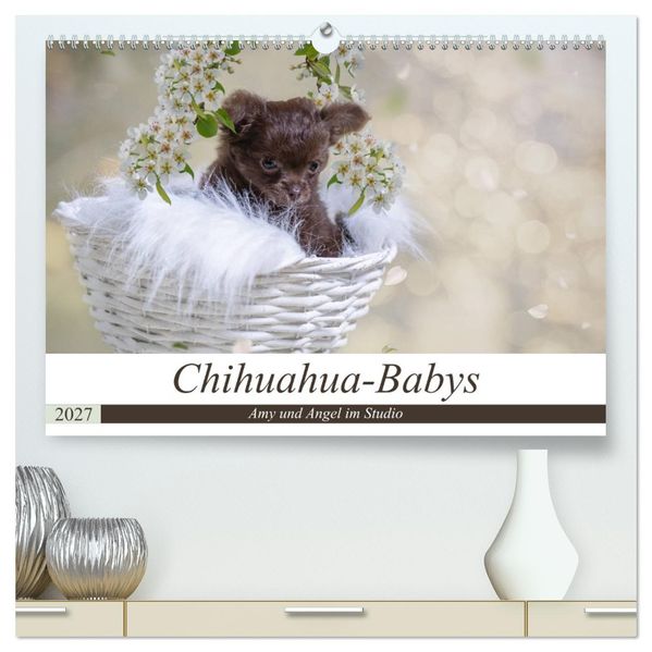 Chihuahua-Babys - Amy und Angel im Studio (hochwertiger Premium Wandkalender 2027 DIN A2 quer) Kunstdruck in Hochglanz