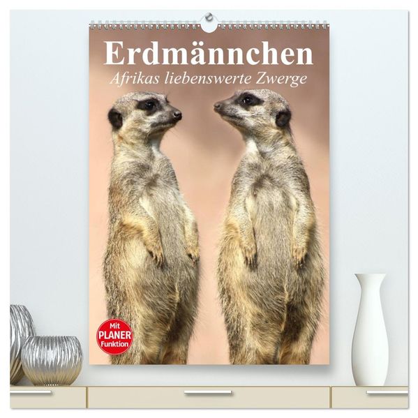 Erdmännchen - Afrikas liebenswerte Zwerge (hochwertiger Premium Wandkalender 2027 DIN A2 hoch) Kunstdruck in Hochglanz