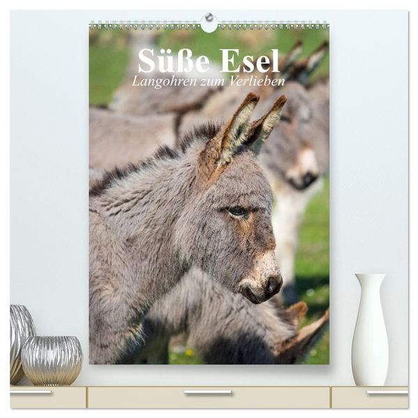 Süße Esel. Langohren zum Verlieben (hochwertiger Premium Wandkalender 2027 DIN A2 hoch) Kunstdruck in Hochglanz