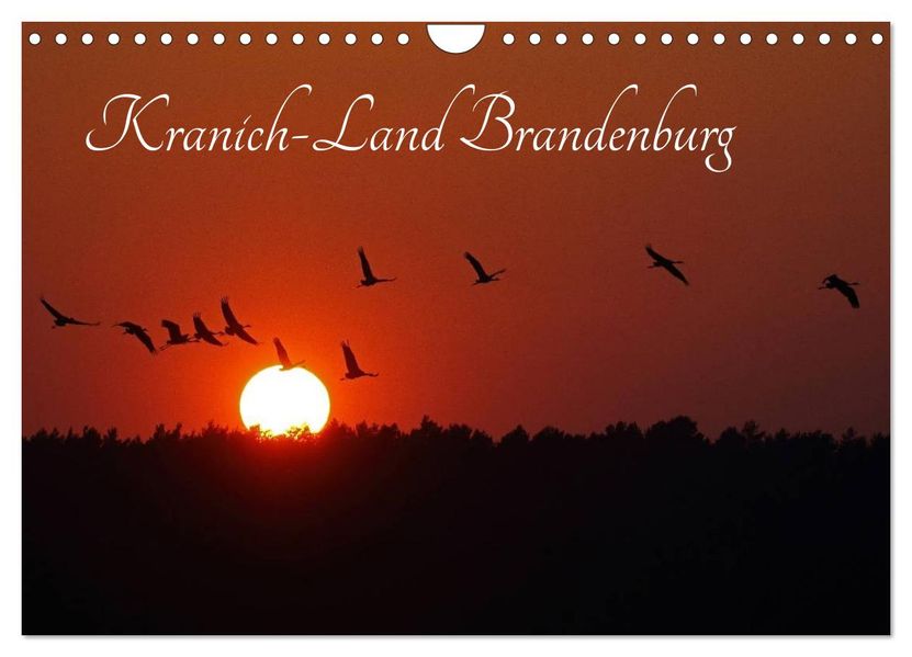 Kranich-Land Brandenburg (Wandkalender 2027 DIN A4 quer) CALVENDO Monatskalender