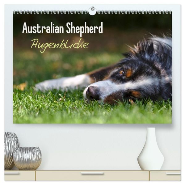 Australian Shepherd - Augenblicke (hochwertiger Premium Wandkalender 2027 DIN A2 quer) Kunstdruck in Hochglanz