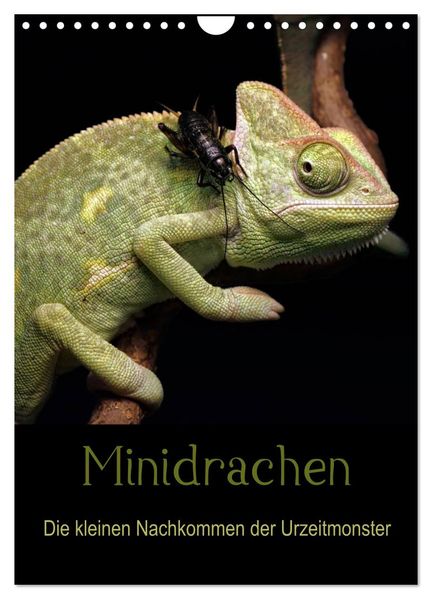 Minidrachen - Die kleinen Nachkommen der Urzeitmonster (Wandkalender 2027 DIN A4 hoch) CALVENDO Monatskalender