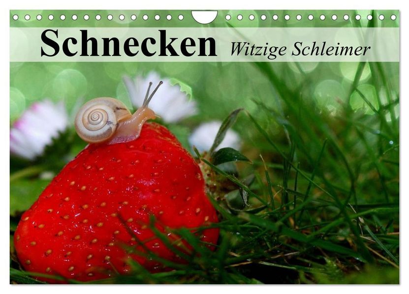 Schnecken. Witzige Schleimer (Wandkalender 2027 DIN A4 quer) CALVENDO Monatskalender