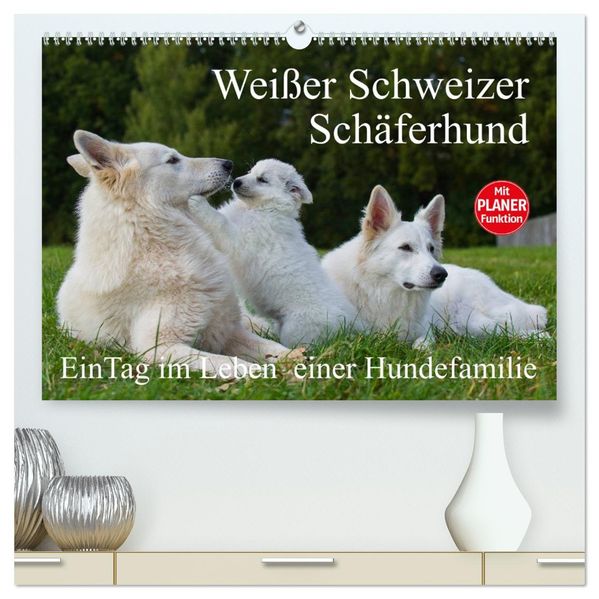 Weißer Schweizer Schäferhund - Ein Tag im Leben einer Hundefamilie (hochwertiger Premium Wandkalender 2027 DIN A2 quer) Kunstdruck in Hochglanz