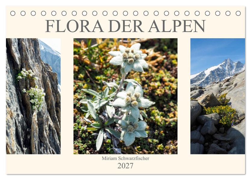 Flora der Alpen (Tischkalender 2027 DIN A5 quer) CALVENDO Monatskalender