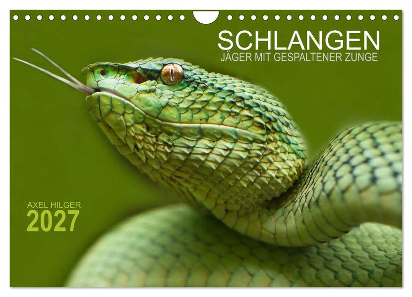 SCHLANGEN. JÄGER MIT GESPALTENER ZUNGE (Wandkalender 2027 DIN A4 quer) CALVENDO Monatskalender