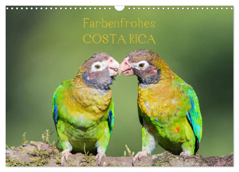 Farbenfrohes Costa Rica (Wandkalender 2027 DIN A3 quer) CALVENDO Monatskalender