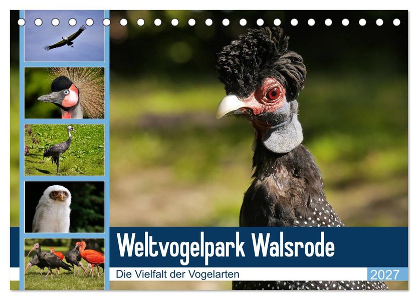 Weltvogelpark Walsrode - Die Vielfalt der Vogelarten (Tischkalender 2027 DIN A5 quer) CALVENDO Monatskalender