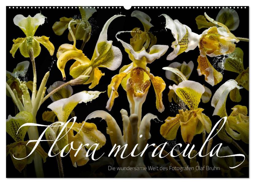 Flora miracula - Die wundersame Welt des Fotografen Olaf Bruhn (Wandkalender 2027 DIN A2 quer) CALVENDO Monatskalender