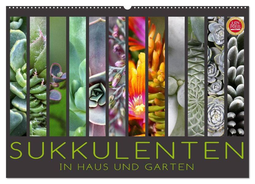 Sukkulenten in Haus und Garten (Wandkalender 2027 DIN A2 quer) CALVENDO Monatskalender