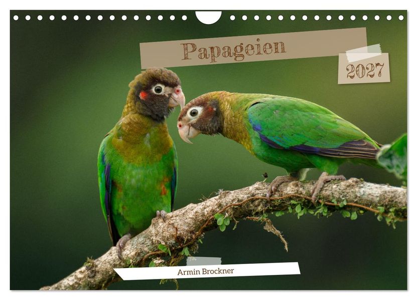 Papageien (Wandkalender 2027 DIN A4 quer) CALVENDO Monatskalender