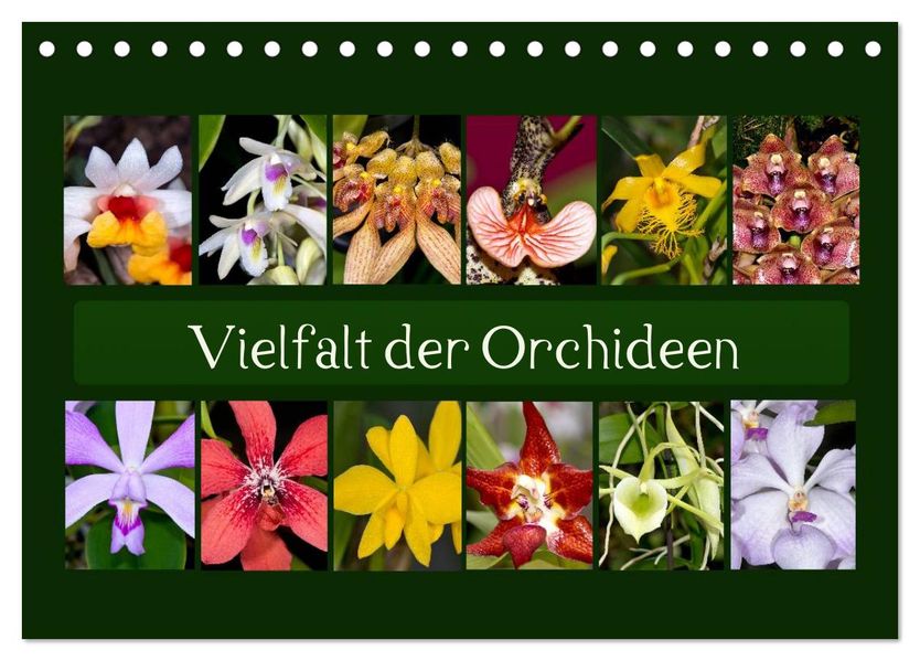 Vielfalt der Orchideen (Tischkalender 2027 DIN A5 quer) CALVENDO Monatskalender
