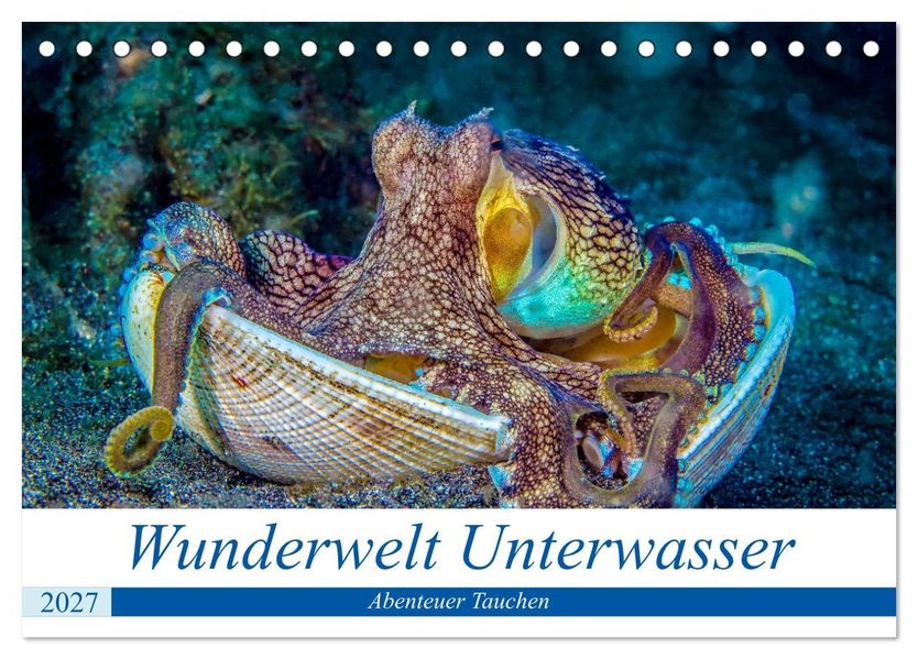 Wunderwelt Unterwasser (Tischkalender 2027 DIN A5 quer) CALVENDO Monatskalender