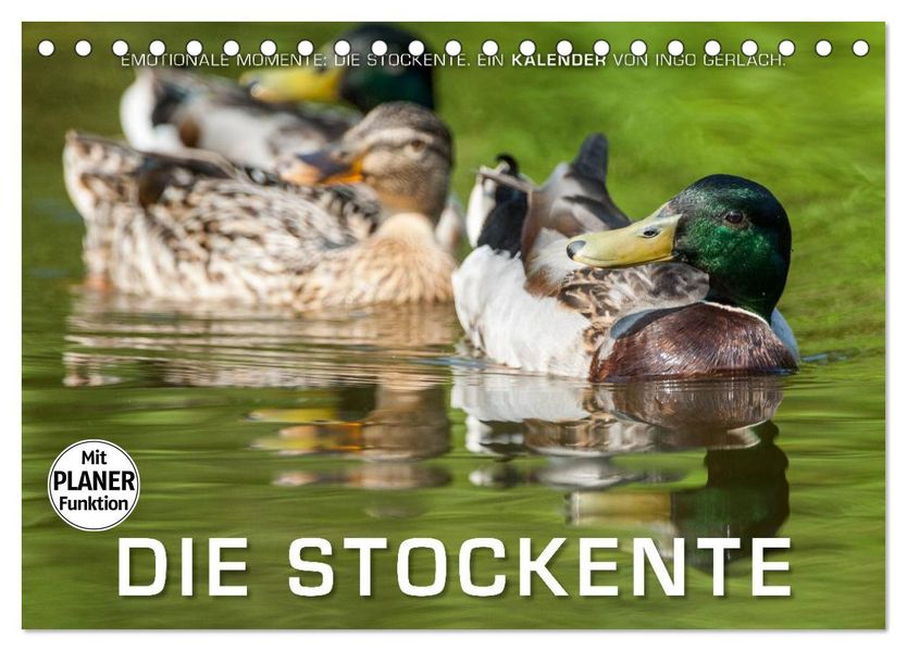 Emotionale Momente: Die Stockente. (Tischkalender 2027 DIN A5 quer) CALVENDO Monatskalender