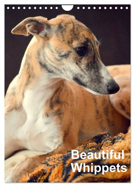 Beautiful Whippets (Wall Calendar 2027 DIN A4 portrait) CALVENDO 12 Month Wall Calendar