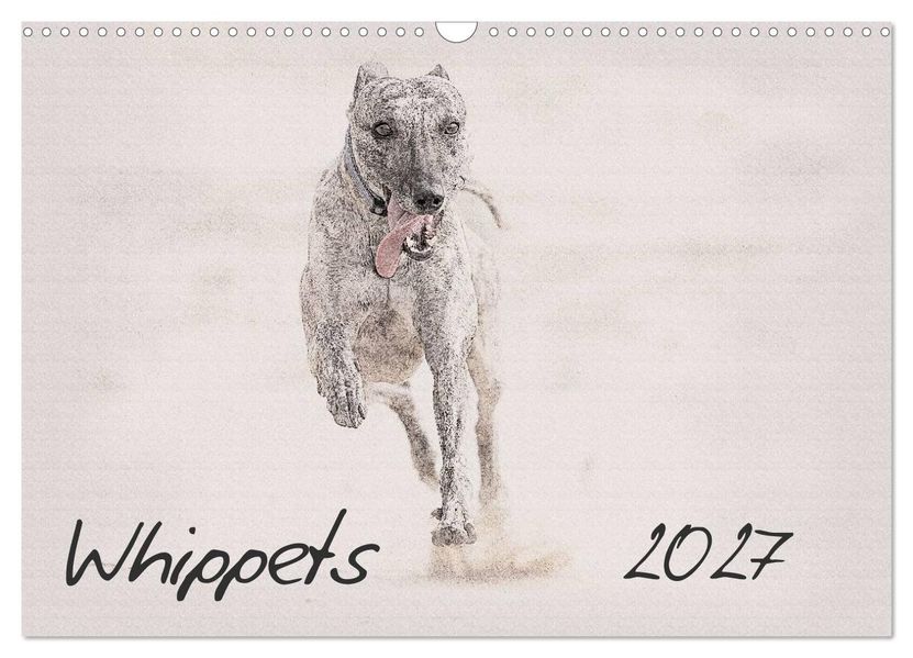 Whippets 2027 (Wall Calendar 2027 DIN A3 landscape) CALVENDO 12 Month Wall Calendar
