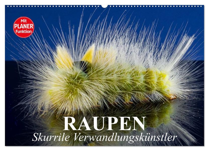 Raupen. Skurrile Verwandlungskünstler (Wandkalender 2027 DIN A2 quer) CALVENDO Monatskalender