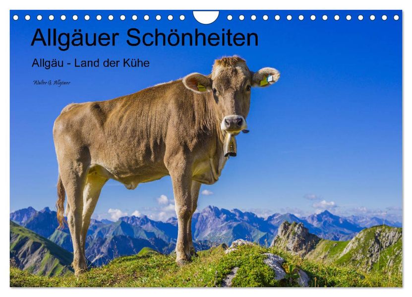 Allgäuer Schönheiten Allgäu - Land der Kühe (Wandkalender 2027 DIN A4 quer) CALVENDO Monatskalender